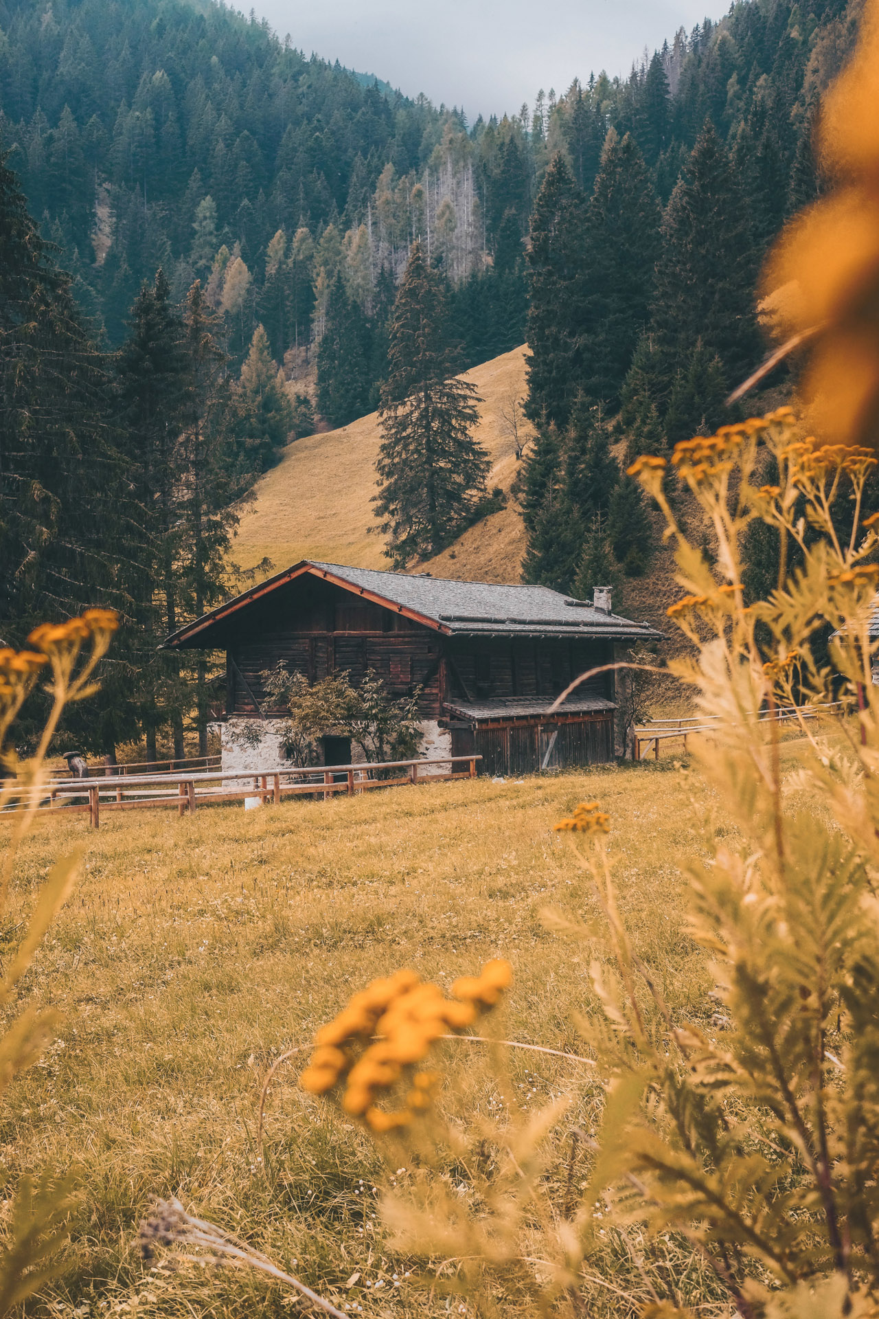A beautiful shot of cabins in the forest
